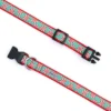 The Worthy Dog Peppermints Dog Collar