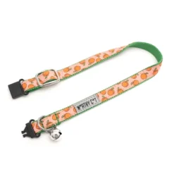 The Worthy Dog Peachy Keen Breakaway Adjustable Cat Collar