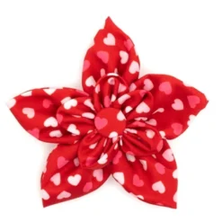 The Worthy Dog Flag Adjustable Bow Tie Accessory 5 The Worthy Dog Flag Adjustable Bow Tie Accessory -The Worthy Dog Shop GUEST 19d9739f e2ce 4851 8454 146d29359f52