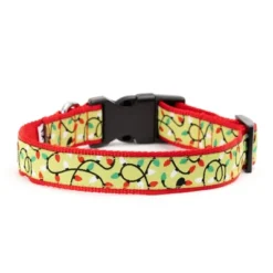 The Worthy Dog Lit Dog Collar