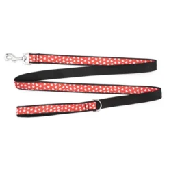 The Worthy Dog Be Mine Dog Leash -The Worthy Dog Shop GUEST 1eb0dd9a 00c0 4d6a a3a1 fa35701b4e20