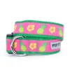 The Worthy Dog Pineapples Dog Collar