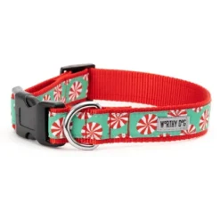 The Worthy Dog Peppermints Dog Collar -The Worthy Dog Shop GUEST 20f7067e f2e1 47fa 89c1 c5697f1d1677