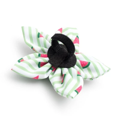 The Worthy Dog Stripe Watermelon Flower Accessory 1 The Worthy Dog Stripe Watermelon Flower Accessory