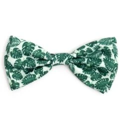 The Worthy Dog Tropical Leaves Bow Tie Accessory -The Worthy Dog Shop GUEST 28047701 40ac 4ce4 be13 c59c6bf85472