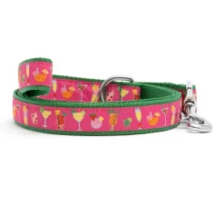 The Worthy Dog Summer Cheer Pet Leash -The Worthy Dog Shop GUEST 282802b6 0238 40ef 9561 5065af699b9e