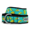 The Worthy Dog Go Bananas Dog Collar