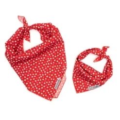 The Worthy Dog Cupid Bandana Accessory -The Worthy Dog Shop GUEST 2cbcc822 4671 4722 85fd 27bb9cc5cd4a