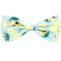 The Worthy Dog Lemons Adjustable Bow Tie Accessory -The Worthy Dog Shop GUEST 2e107581 a94c 4652 af9b df923e9c59b5