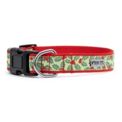 The Worthy Dog Holly Adjustable Dog Collar -The Worthy Dog Shop GUEST 36af5ca4 2619 46c8 92e8 6a2bdb8243a2