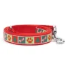 The Worthy Dog Good Tidings Pet Leash