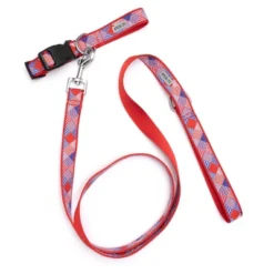 The Worthy Dog Americana Adjustable Dog Collar