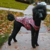 The Worthy Dog Water-Resistant Buffalo Plaid London Raincoat