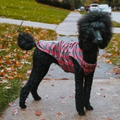 The Worthy Dog Water-Resistant Buffalo Plaid London Raincoat