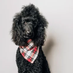 The Worthy Dog Stewart Tartan Plaid Classic Square Tie-On Bandana