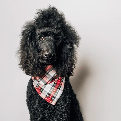The Worthy Dog Stewart Tartan Plaid Classic Square Tie-On Bandana 1 The Worthy Dog Stewart Tartan Plaid Classic Square Tie-On Bandana