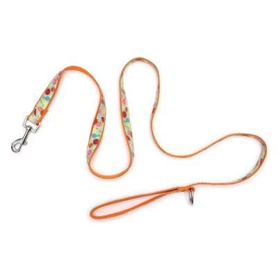The Worthy Dog Tutti Frutti Pet Leash 2 The Worthy Dog Tutti Frutti Pet Leash - Image 2