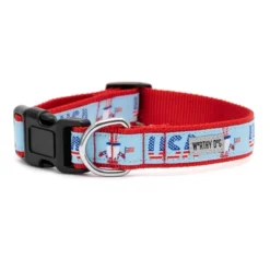 The Worthy Dog Uncle Sam Gnome Adjustable Dog Collar