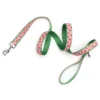The Worthy Dog Strawberries Pet Leash