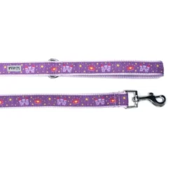 The Worthy Dog Princess Dog Leash 7 The Worthy Dog Princess Dog Leash -The Worthy Dog Shop GUEST 5293664b 7608 4238 9a3b 5b081fb46cf5