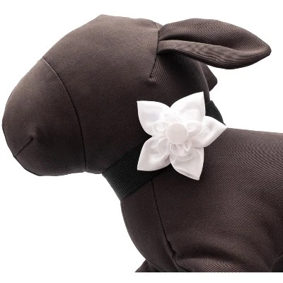 The Worthy Dog I Do Flower Adjustable Collar Attachment Accessory 2 The Worthy Dog I Do Flower Adjustable Collar Attachment Accessory - Image 2