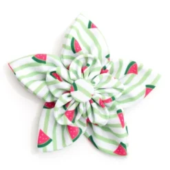 The Worthy Dog Stripe Watermelon Flower Accessory 5 The Worthy Dog Stripe Watermelon Flower Accessory -The Worthy Dog Shop GUEST 5d1e7d45 1736 405d 8755 b11f999f3da2