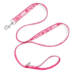 The Worthy Dog Love & Kisses Pet Leash