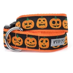 The Worthy Dog Jack-O-Lantern Dog Collar