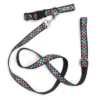 The Worthy Dog Carnival Check Pet Leash