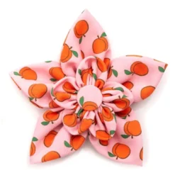 The Worthy Dog Peachy Keen Flower Accessory 5 The Worthy Dog Peachy Keen Flower Accessory -The Worthy Dog Shop GUEST 82defa64 7cb7 4198 bc44 5be54333637f