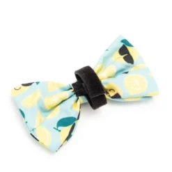The Worthy Dog Lemons Adjustable Bow Tie Accessory