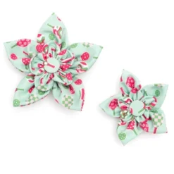 Pickleball Dog Flower - Adjustable Collar Accessory By The Worthy Dog -The Worthy Dog Shop GUEST b3a9e252 fec5 48b9 9885 414ebd7a1c42