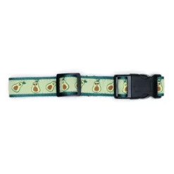 The Worthy Dog Avocados Collar 9 The Worthy Dog Avocados Collar -The Worthy Dog Shop GUEST b3d071b1 fe03 4943 b2d9 9af30751eaf1
