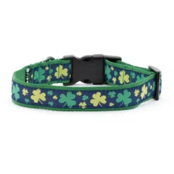 The Worthy Dog Lucky Dog Collar