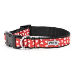 The Worthy Dog Be Mine Dog Collar -The Worthy Dog Shop GUEST c0fcbc34 0c51 4a18 98b5 18936ae47c3f