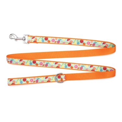 The Worthy Dog Tutti Frutti Pet Leash 3 The Worthy Dog Tutti Frutti Pet Leash - Image 3