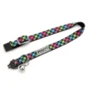 The Worthy Dog Carnival Check Breakaway Adjustable Cat Collar