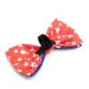 The Worthy Dog Stars Bow Tie Accessory