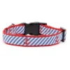 The Worthy Dog Navy Stripe Anchors Dog Collar