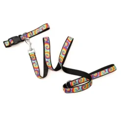 The Worthy Dog Kaleidoscope Dog Leash