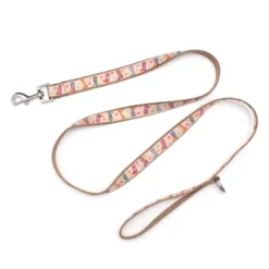 The Worthy Dog Wild Wild West Pet Leash