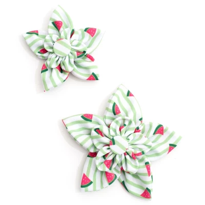 The Worthy Dog Stripe Watermelon Flower Accessory 2 The Worthy Dog Stripe Watermelon Flower Accessory - Image 2